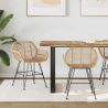 Chaises Remsen