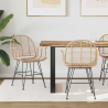 Chaises Middagh