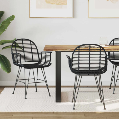 Chaises Middagh