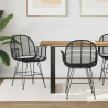 Chaises Middagh