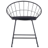 Chaises Carroll