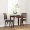 Chaises Skillman