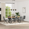 Chaises Hoyt