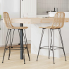 Tabourets de bar Seabring 111