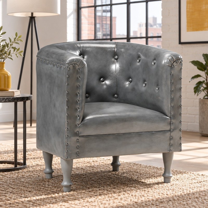 Fauteuil Lamarck — mise en situation