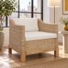 Fauteuil Jussieu — mise en situation