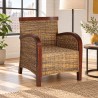 Fauteuil Cuvier — mise en situation