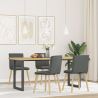Chaises Carmine