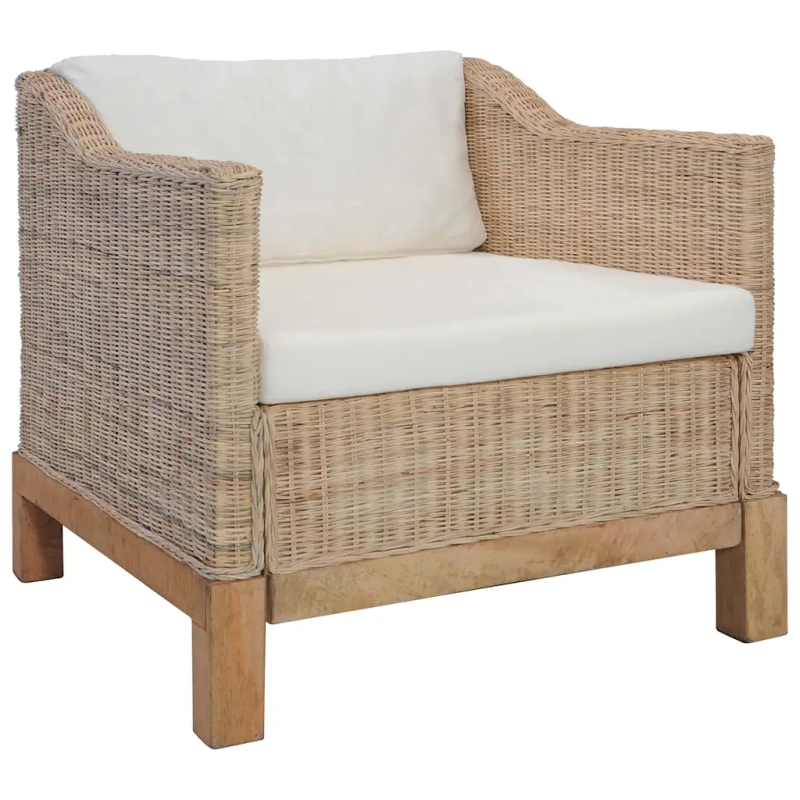 Fauteuil Jussieu