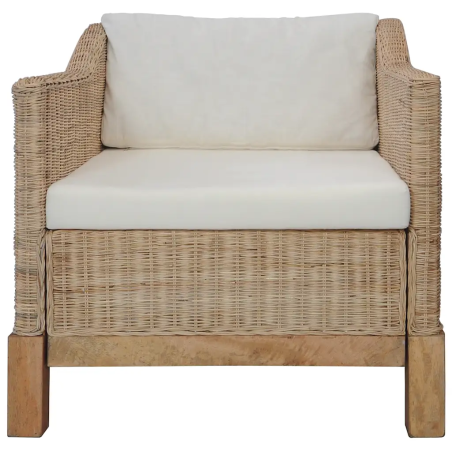 Fauteuil Jussieu