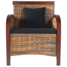 Fauteuil Cuvier